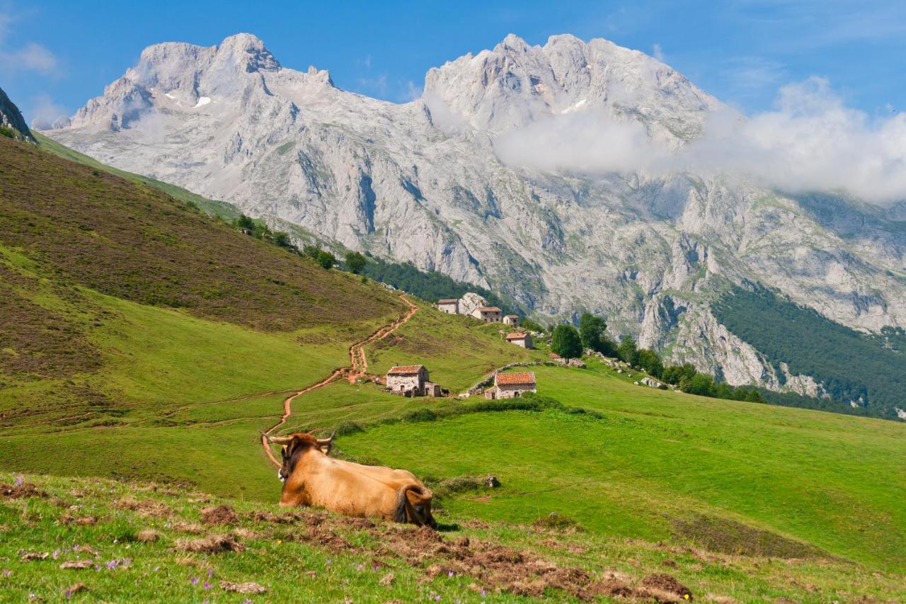 El Caleyon Bed & Breakfast Bulnes Exterior foto